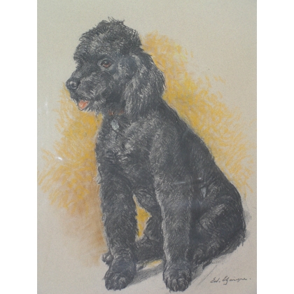  Dessin original "Chien, caniche noir", sur  Moinat SA  - Antiquités décoration