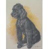  Dessin original "Chien, caniche noir", sur  Moinat SA  - Antiquités décoration