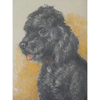  Dessin original "Chien, caniche noir", sur  Moinat SA  - Antiquités décoration