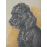  Dessin original "Chien, caniche noir", sur  Moinat SA  - Antiquités décoration