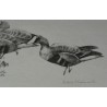 Print on paper: ‘Three Geese’ by Moinat SA – Antiques and decorative items – Prints, lithographs