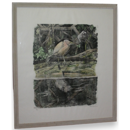 Gravure sur papier "Blongios en pêche",  sur Moinat SA  - Antiquités décoration -  Gravures, Lithos