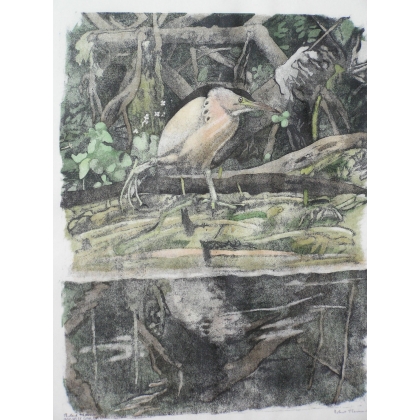 Gravure sur papier "Blongios en pêche",  sur Moinat SA  - Antiquités décoration -  Gravures, Lithos