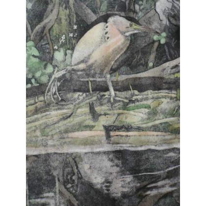 Gravure sur papier "Blongios en pêche",  sur Moinat SA  - Antiquités décoration -  Gravures, Lithos