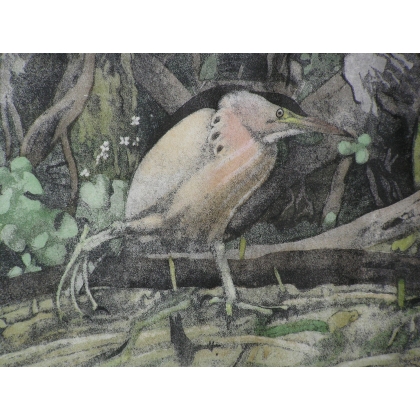 Gravure sur papier "Blongios en pêche",  sur Moinat SA  - Antiquités décoration -  Gravures, Lithos