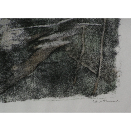 Gravure sur papier "Blongios en pêche",  sur Moinat SA  - Antiquités décoration -  Gravures, Lithos