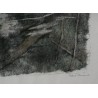 Gravure sur papier "Blongios en pêche",  sur Moinat SA  - Antiquités décoration -  Gravures, Lithos
