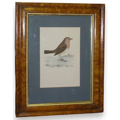 Engraving on paper, ‘Bird’, by Moinat SA – Antiques and decorative items – Engravings, lithographs