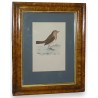 Engraving on paper, ‘Bird’, by Moinat SA – Antiques and decorative items – Engravings, lithographs