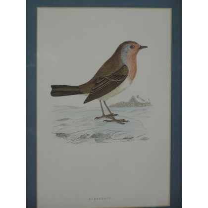 Engraving on paper, ‘Bird’, by Moinat SA – Antiques and decorative items – Engravings, lithographs