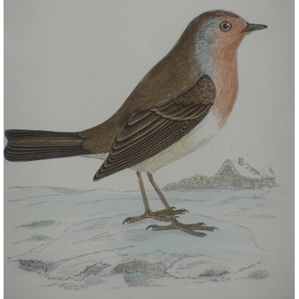 Engraving on paper, ‘Bird’, by Moinat SA – Antiques and decorative items – Engravings, lithographs