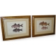 Paire de gravures sur papier "Poissons,