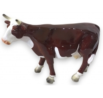 Vache miniature brune et blanche