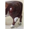 Vache miniature brune et blanche