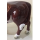 Vache miniature brune et blanche