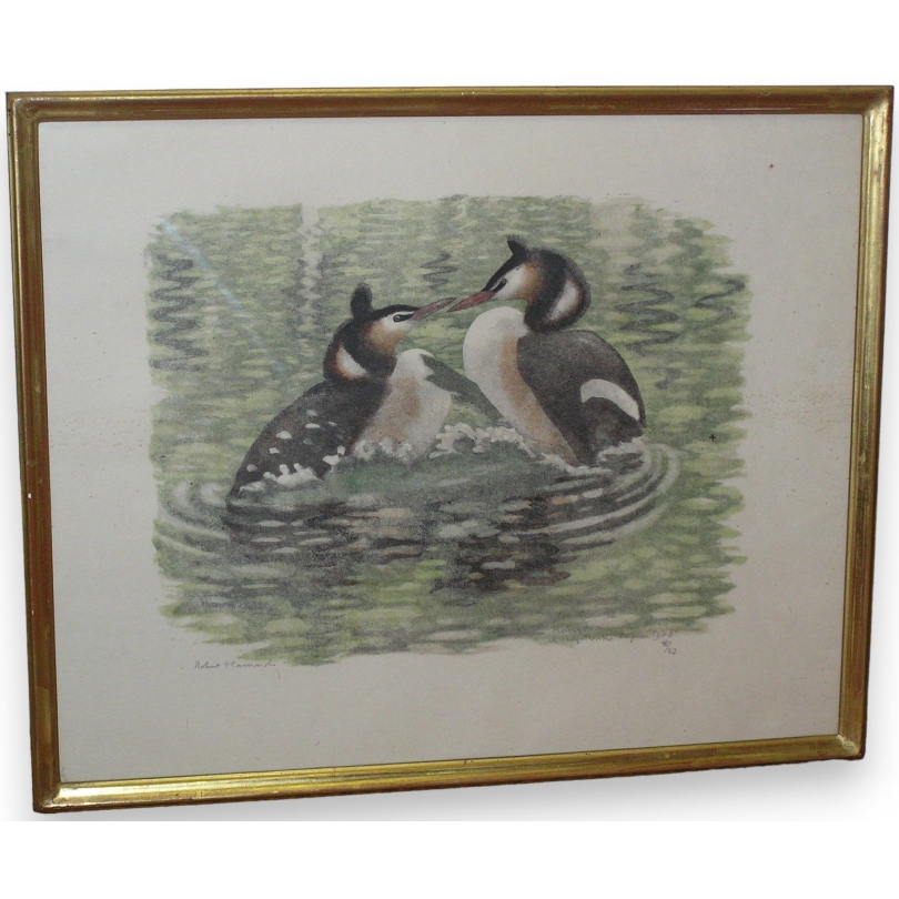 Gravure "Dispute de grèbes huppés" signée HAINARD