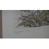 Engraving, engraving techniques at Moinat SA – Antiques and home décor