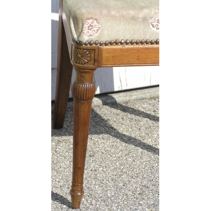 Paire de chaises Directoire,