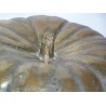 Sculpture \"Courge\", en bronze.