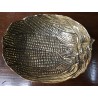‘Corn Cob’ bowl in polished brass at Moinat SA – Antiques and home décor