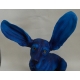 Chien Basset surpris bleu