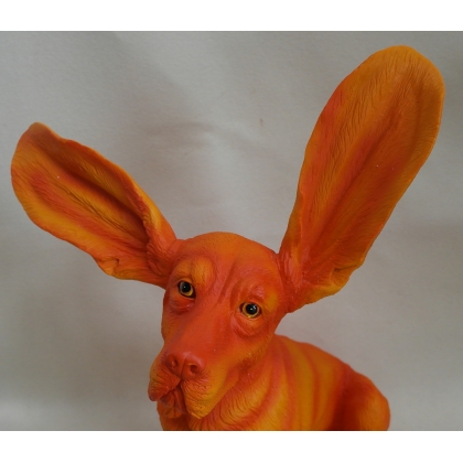Chien Basset surpris orange