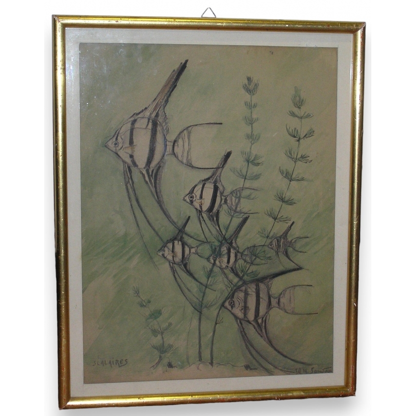  Dessin "Les scalaires" de SANDOZ sur  Moinat SA  - Antiquités décoration