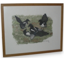 Gravure "Dispute de pies" signé HAINARD