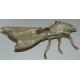 Sculpture façon vide-poche "Mouche"