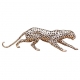 Bronze Guépard argenté, petit
