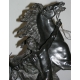 Paire de sculptures "Chevaux de Marly",