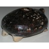 Ceramic piece depicting ‘A tortoise’, by Moinat SA – Antiques and decorative items