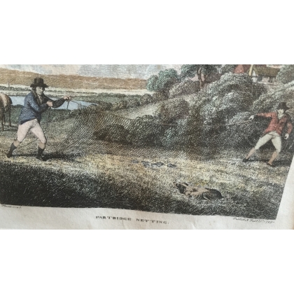 Engraving ‘Partridge netting’ by HOWIT on Moinat SA – Antiques and decorative items – Engravings, lithographs