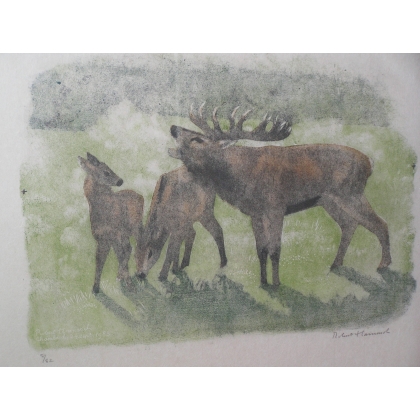 Engraving entitled ‘Bellowing Stag’, signed by Robert HAINARD, on Moinat SA – Antiques and decorative items – Engravings, lithog