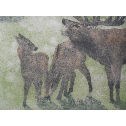 Engraving entitled ‘Bellowing Stag’, signed by Robert HAINARD, on Moinat SA – Antiques and decorative items – Engravings, lithog