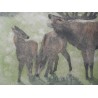 Engraving entitled ‘Bellowing Stag’, signed by Robert HAINARD, on Moinat SA – Antiques and decorative items – Engravings, lithog