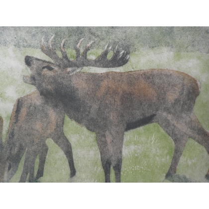 Engraving entitled ‘Bellowing Stag’, signed by Robert HAINARD, on Moinat SA – Antiques and decorative items – Engravings, lithog