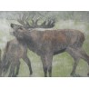 Engraving entitled ‘Bellowing Stag’, signed by Robert HAINARD, on Moinat SA – Antiques and decorative items – Engravings, lithog