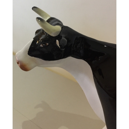 Vache miniature noire et blanche