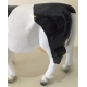 Vache miniature noire et blanche