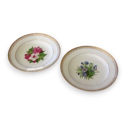 Paire d\'assiettes de Berlin à décors floraux.