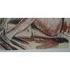 Pastel "Femme nue", signé Jean-Louis MERRÉ.  sur Moinat SA  - Antiquités décoration -  Gouaches, Aquarelles, Pastels