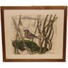 Gravure "Pinson et orobanche", signée.  sur Moinat SA  - Antiquités décoration -  Gravures, Lithos