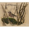 Gravure "Pinson et orobanche", signée.  sur Moinat SA  - Antiquités décoration -  Gravures, Lithos