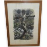 Engraving entitled ‘The Stone-Thrower’, signed HAINARD, on Moinat SA – Antiques and decorative items – Engravings, lithographs
