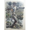 Engraving entitled ‘The Stone-Thrower’, signed HAINARD, on Moinat SA – Antiques and decorative items – Engravings, lithographs