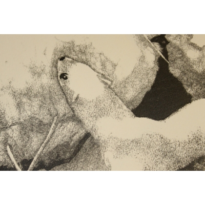 Engraving entitled ‘Hermine’, signed by Robert HAINARD on Moinat SA – Antiques and decorative items – Engravings, lithographs