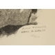 Gravure "Hermine", signée Robert HAINARD