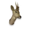 "Deer Head" hunting trophy at Moinat SA – Antiques and home décor