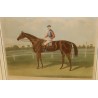 English engraving of the racehorse ‘Fille de l’air’ by Moinat SA – Antiques and decorative items – Engravings, lithographs